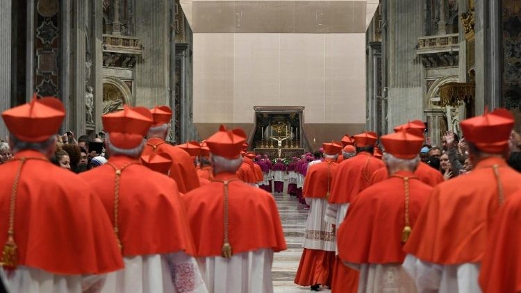 zbor-kardinalov-pri-slavnosti.jpg